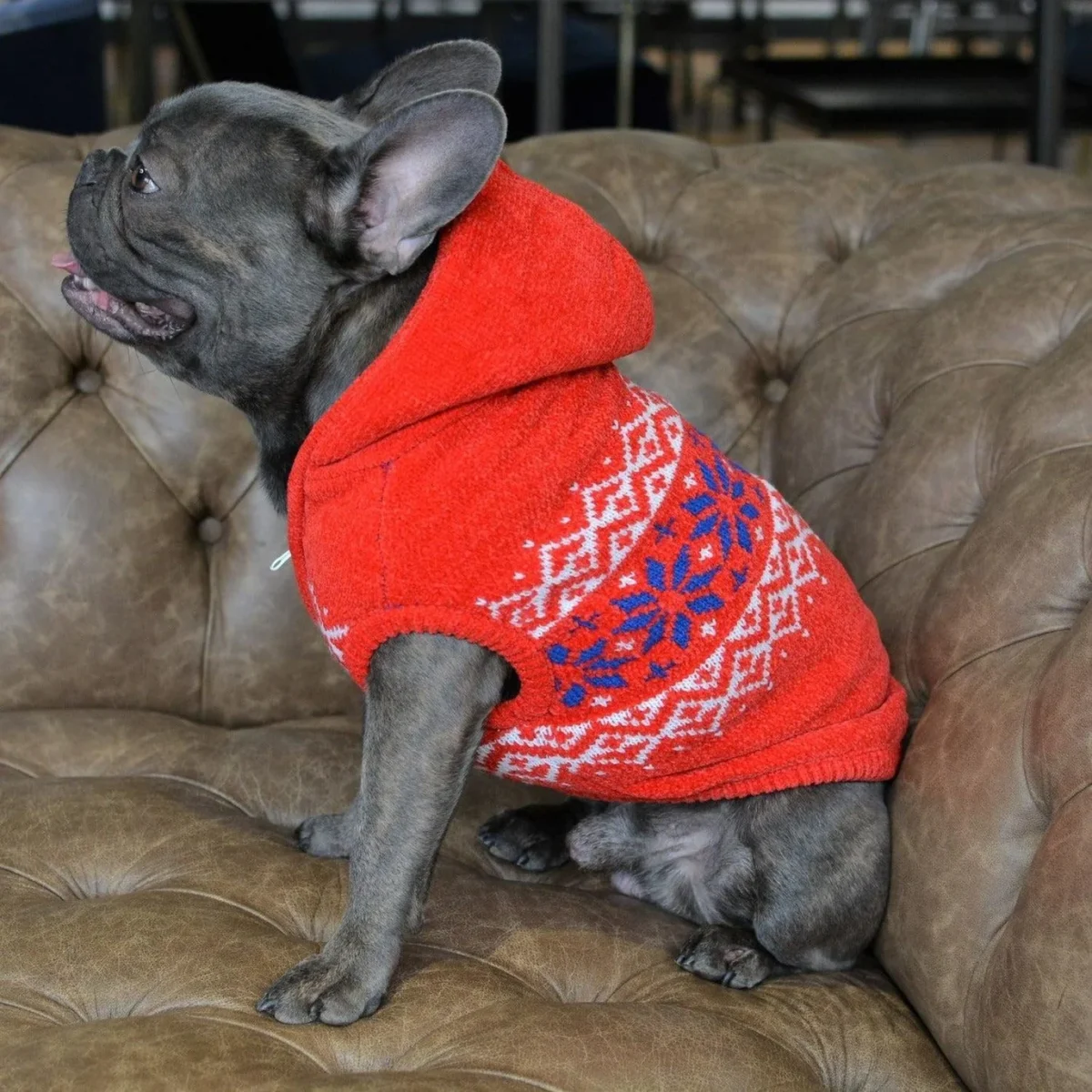 Bulldog christmas jumper for hot sale dog